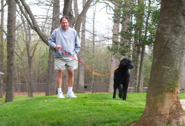 solomon-or-ramzi-walking-on-leash-small_edited