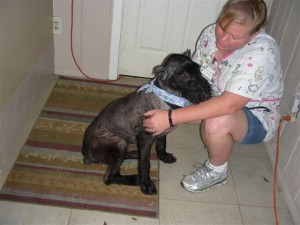 Sheba Loves Getting Petted