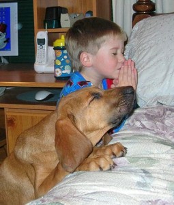 Dear Lord: Thank you for bringing  me to Timmy's house.   AMEN!