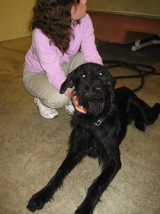 Shultz Breaks Out of Jail