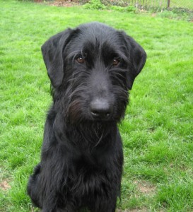 His "Take Me Home" Photo