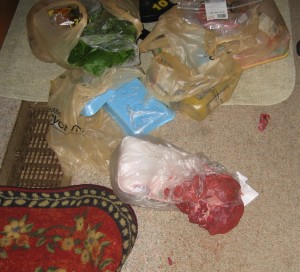 CassiePutsAwayGroceries Cassie Helps Put Away Groceries