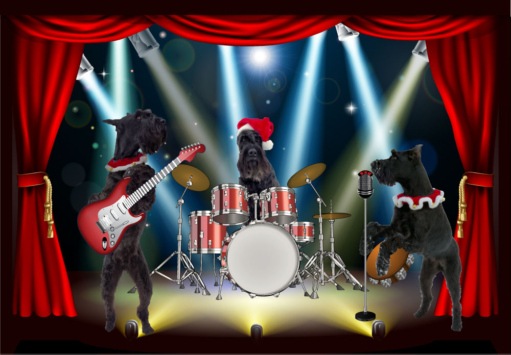 Three Dog Night