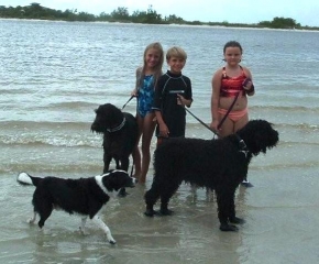Bubba, Charlie & Fun Friends