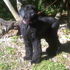 Charlie: Hey I Look Really Buff!