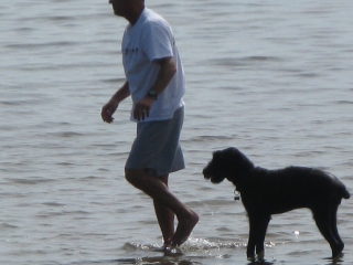 Sheba With Dad