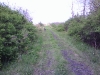 0509091022_0