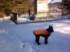 Fort George Park winter