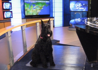 Cassie News Anchor