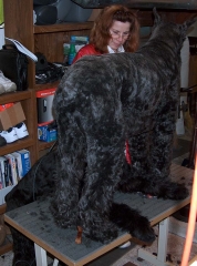 Chance Haircut