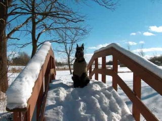 Chance Waits At The Bridge