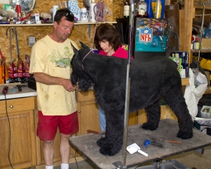 Grooming Turbo