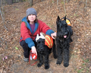 Walk In The County Park