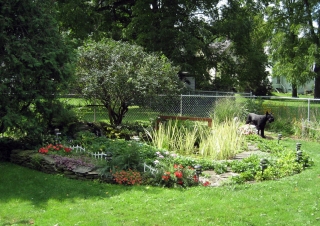 Our Pond in Late August