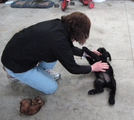 Tummy Rub